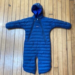 Patagonia Down Bunting